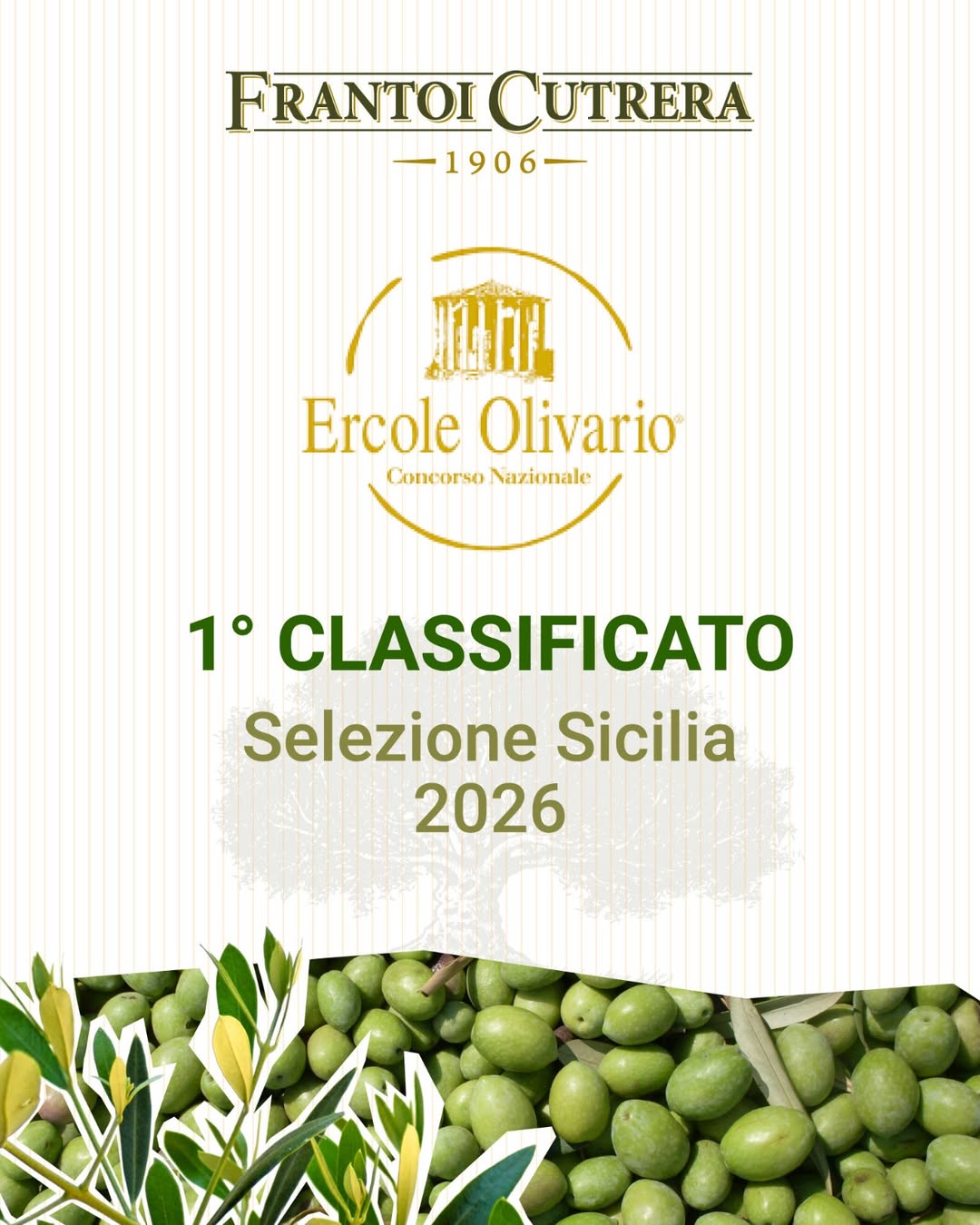 Frantoi Cutrera primi classificati all'Ercole Olivario 2026