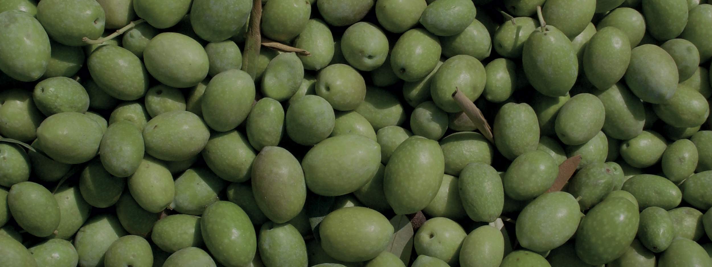 Gli Oli Extravergine di Oliva più Venduti