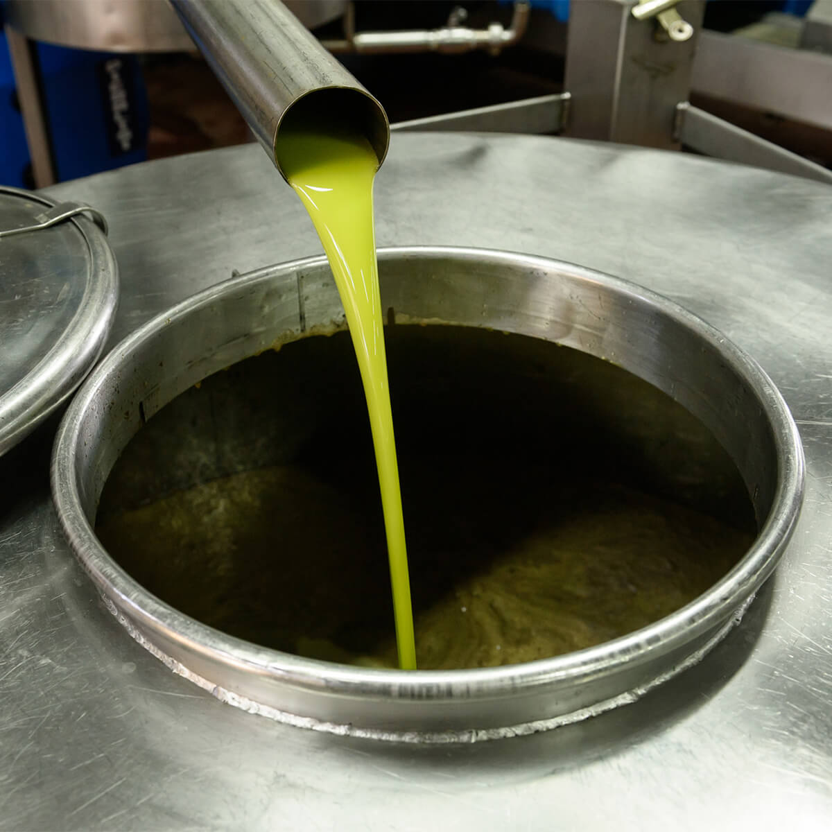 Estrazione di Olio Extravergine d'Oliva Cutrera